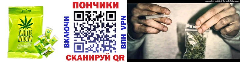 Купить где  Верхний Уфалей  Canna-Cookies конопля 
