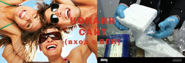 индика Заводоуковск
