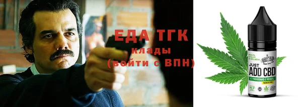 индика Заводоуковск