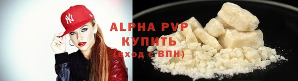 индика Заводоуковск