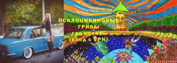 индика Заводоуковск