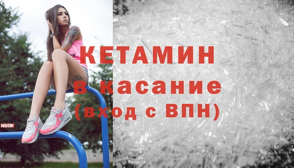 индика Заводоуковск