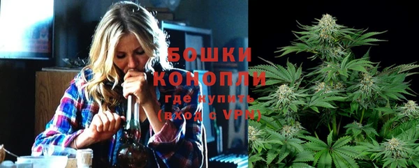 индика Заводоуковск