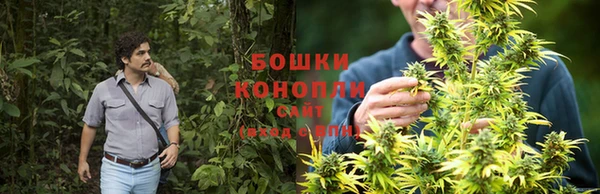 сатива Зеленодольск