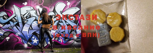 индика Заводоуковск