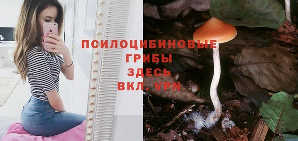спайс Заволжье