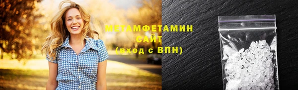 индика Заводоуковск