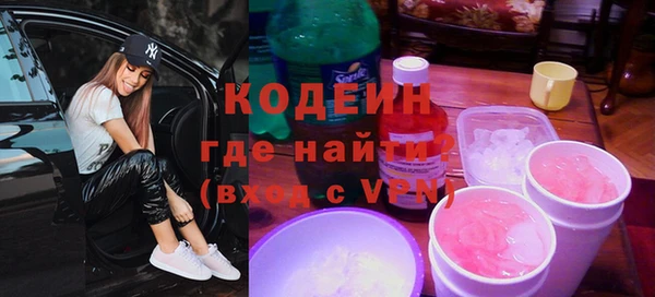 индика Заводоуковск