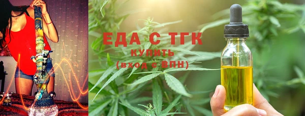 индика Заводоуковск